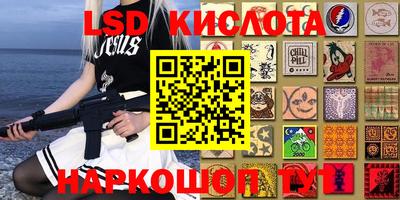 крисы Бузулук