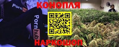 каннабис Будённовск